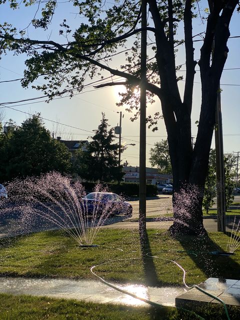 Juin 2021 — Gazon, arrosage et arbres